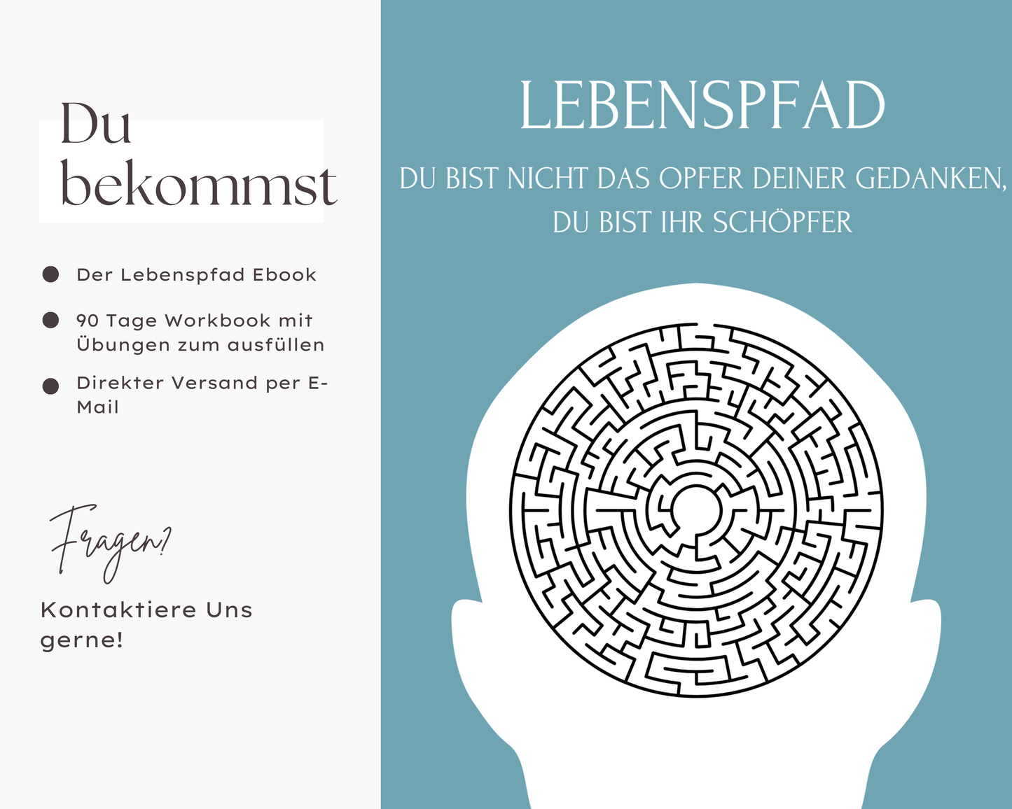 Der Lebenspfad Ebook + Workbook